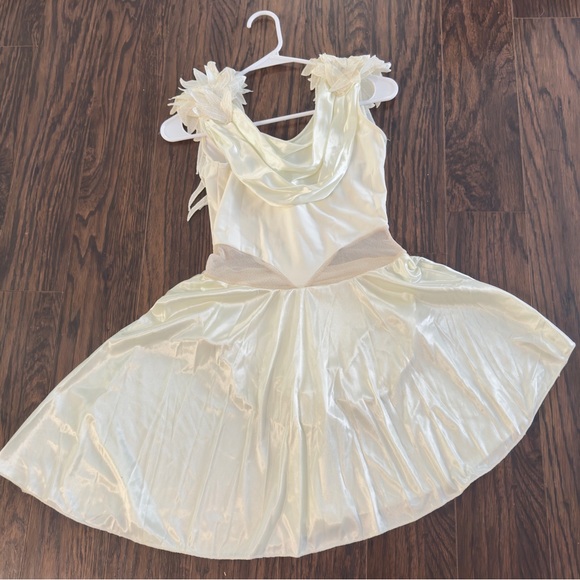 Ballet Costume Medium Adult - Picture 1 of 4